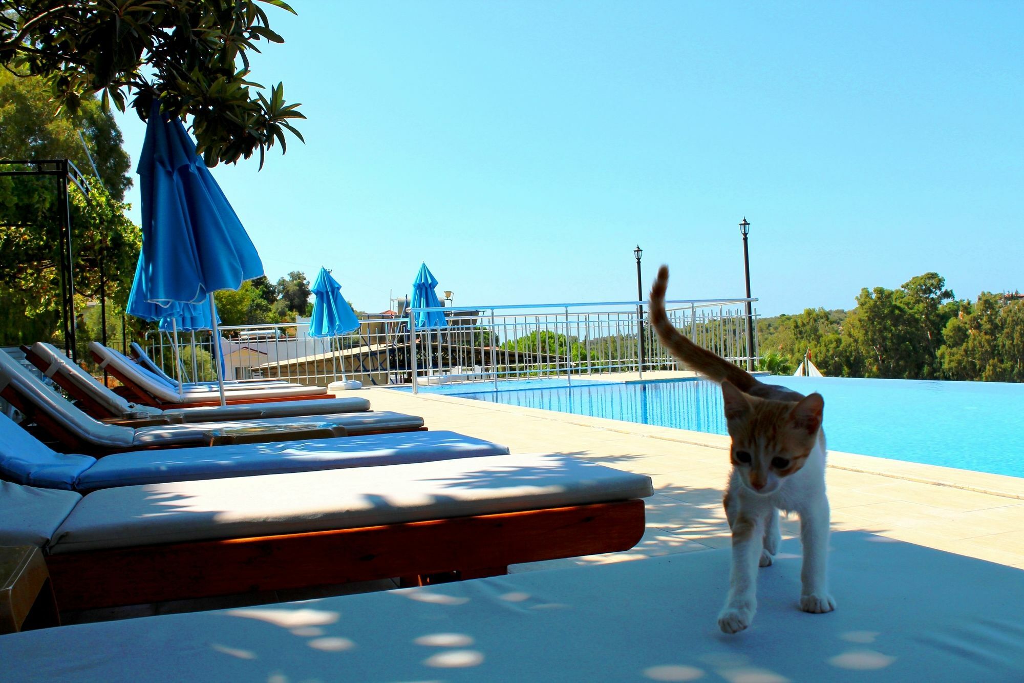 Hotel Patara Sun Club 외부 사진